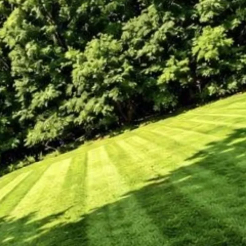 Freshly mowed lawn with clean mower stripes running up a hillside
