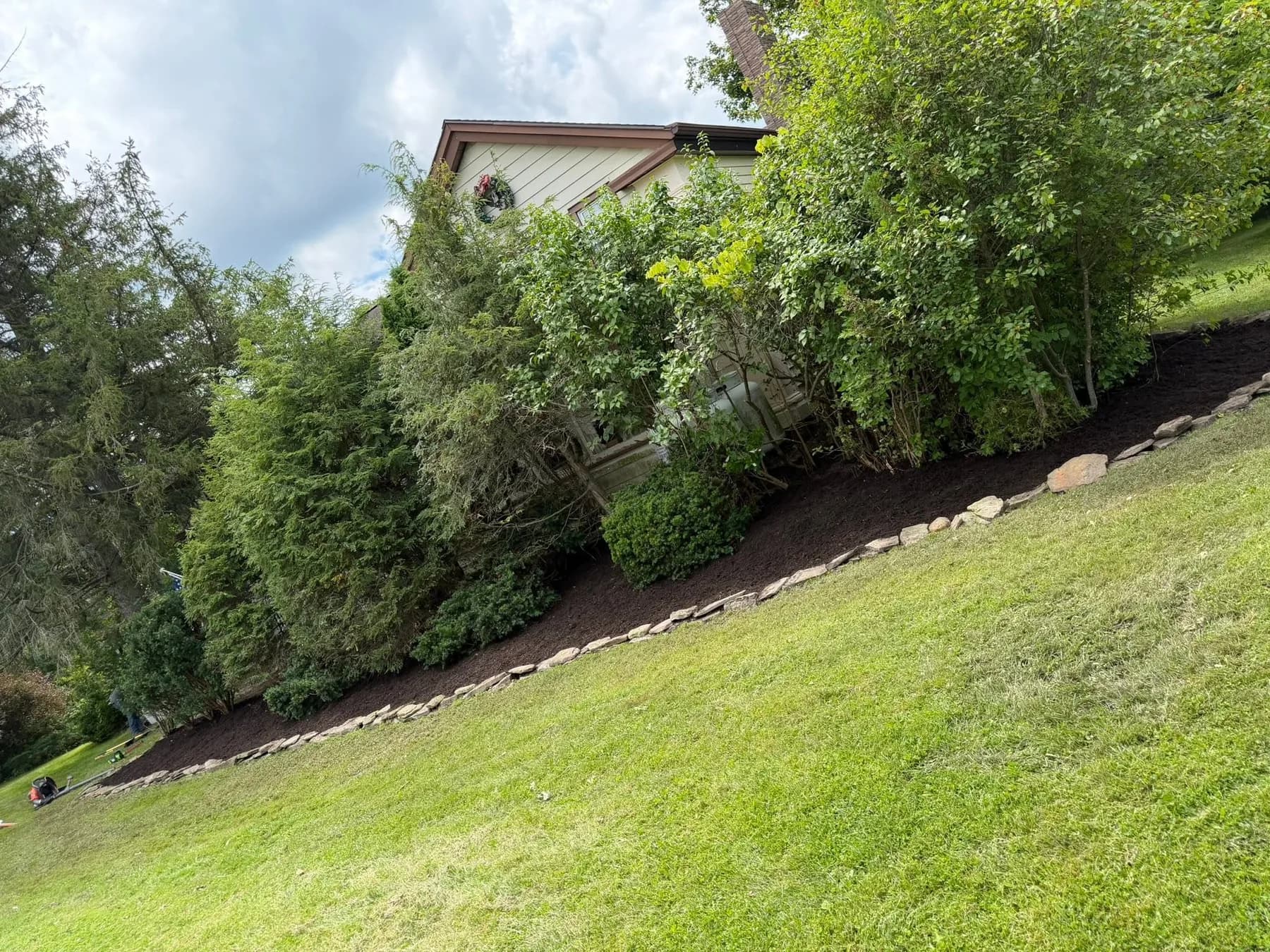 A long stone-edged mulch bed freshly laid along a hillside planting of shrubs and evergreens