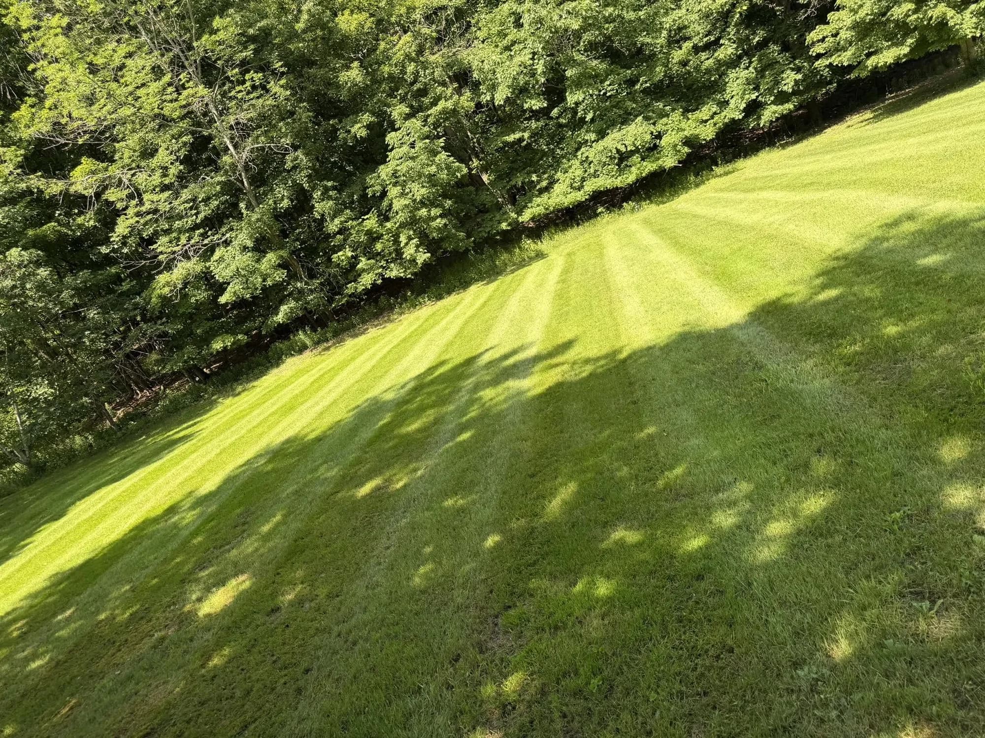 A steep hillside lawn mowed by EK Services with sweeping stripes running down the slope to a treeline